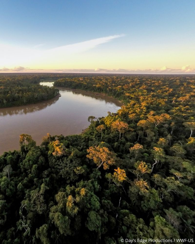 Amazon Rainforest, Brazil