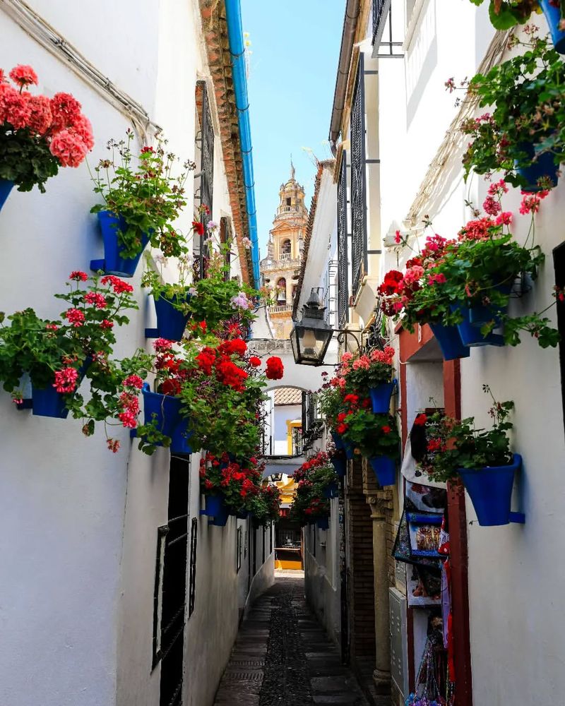 Calleja de las Flores, Córdoba, Spain