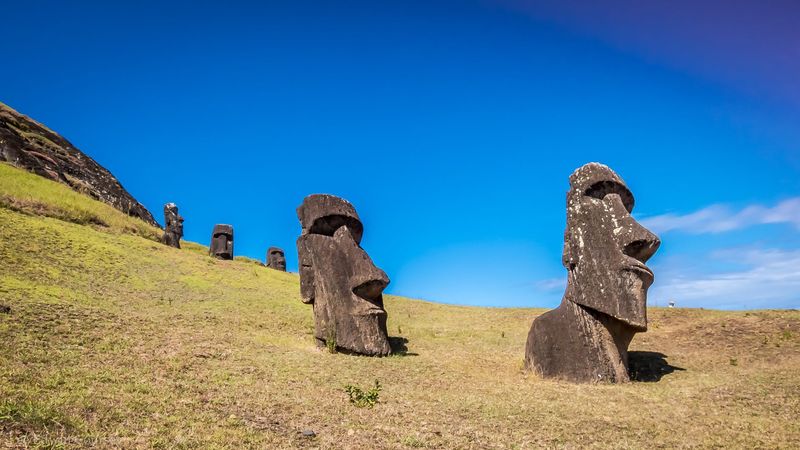 Easter Island Moai