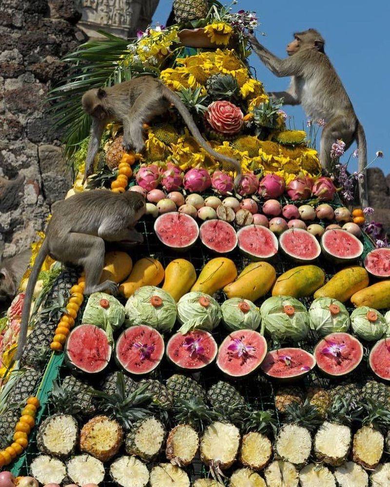 Monkey Buffet Festival in Thailand