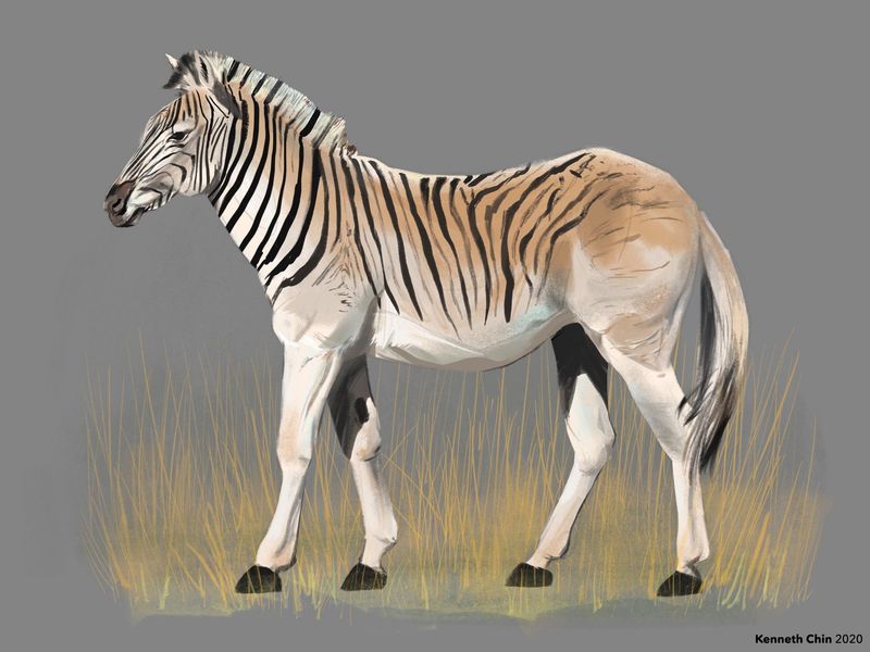 Quagga