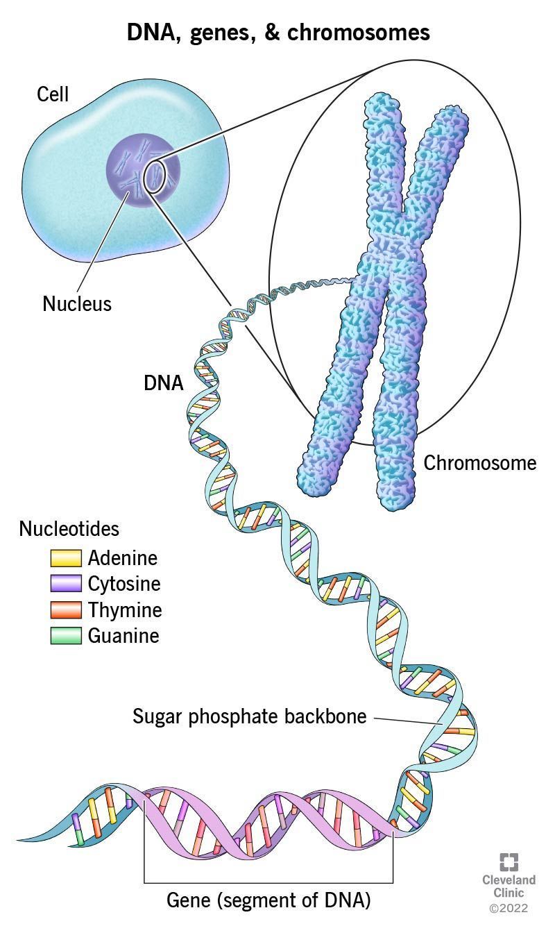 Technological Advances in DNA Sequencing