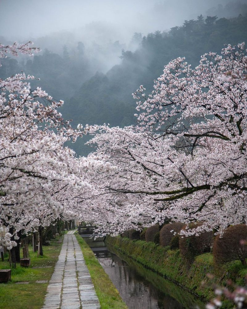 The Philosopher's Path, Kyoto, Japan