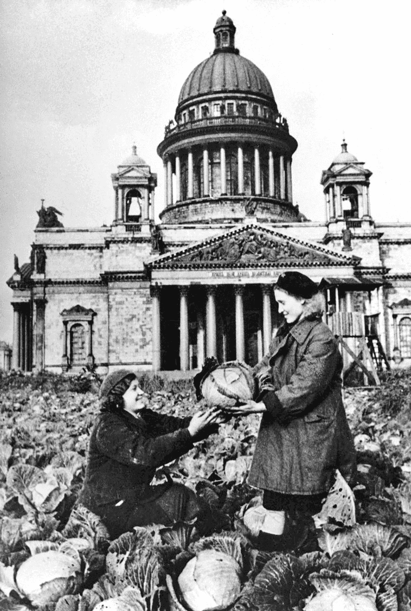 The Siege of Leningrad in 1941